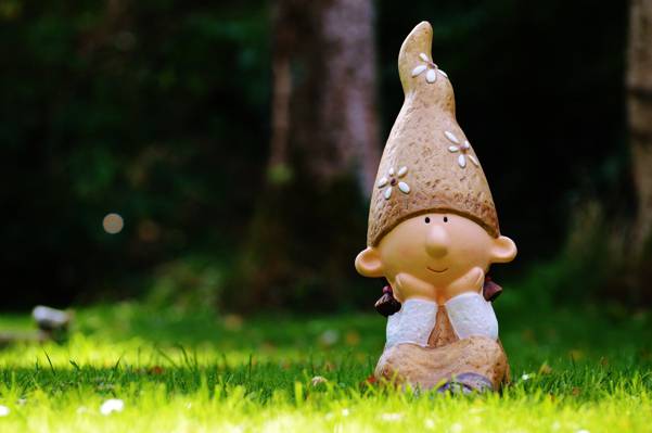 gnome在草地高清壁纸的选择性焦点摄影