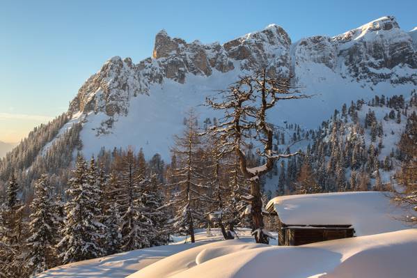 壁纸阿尔卑斯山,奥地利,雪,Torsten Muehlbacher摄影,冬天,房子,森林