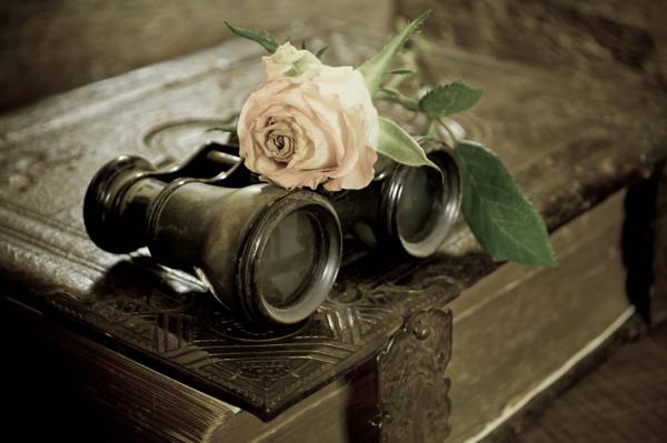 双筒望远镜,花,书,玫瑰
