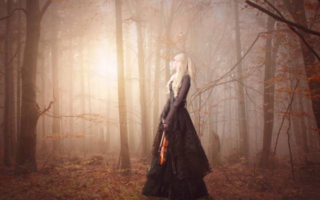 女孩,小提琴,森林