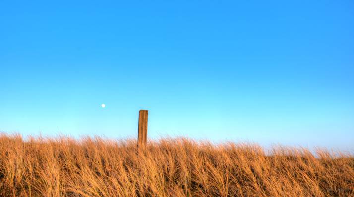 棕色木支柱在麦子粮田场高清壁纸的风景摄影
