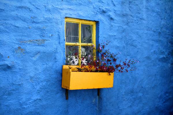 蓝色,虔诚,窗口,墙壁,花园,石膏,极简主义