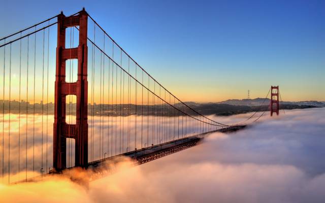 早上,旧金山,桥,雾,金门,机器,城市