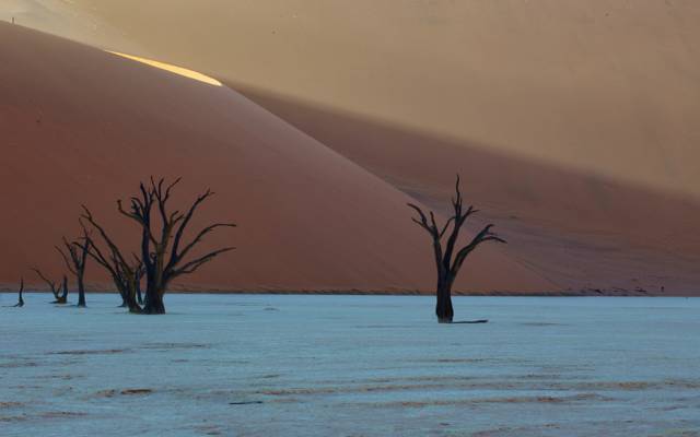 沙丘,纳米比亚,沙漠,Deadvlei,非洲