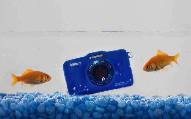 水,尼康,相机,鱼