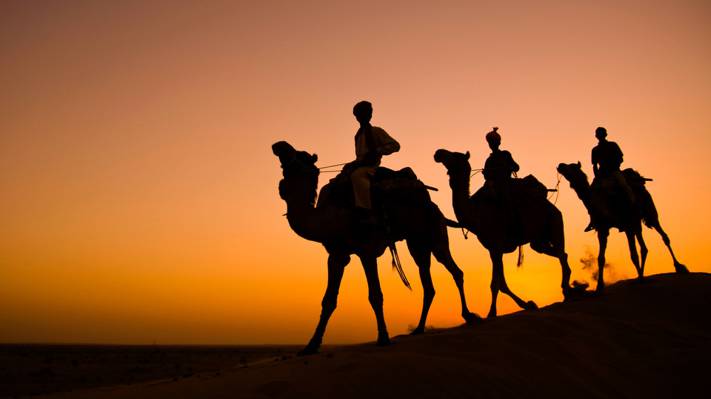 拉贾斯坦邦,大篷车,塔尔沙漠,剪影,骆驼,印度