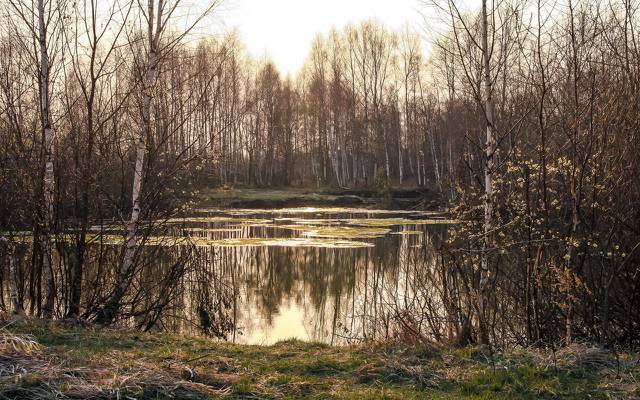 壁纸湖,春天,性质