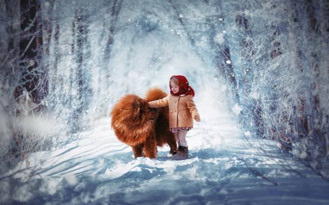 周大衣,披肩,冬天,孩子,雪,狗,女孩