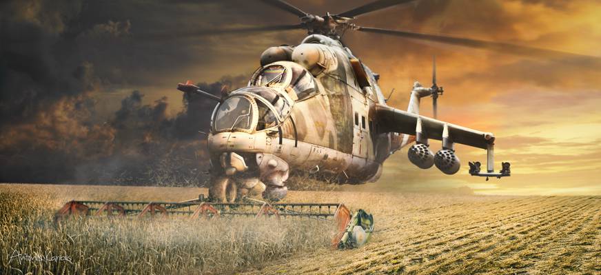 米-24,收获,田地,艺术,谷物,割草机,直升机