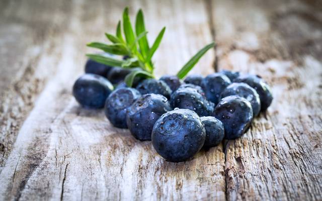 宏,蓝莓,浆果,水滴