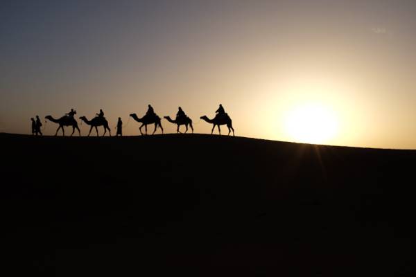 男人和骆驼在日落高清壁纸的剪影