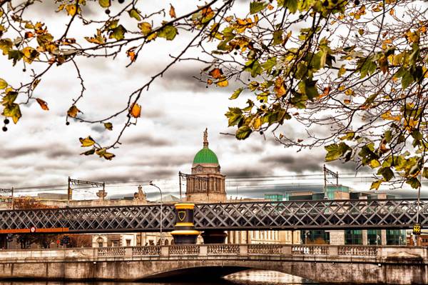 桥,爱尔兰,都柏林,分支机构,秋季,叶子