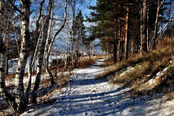 壁纸Ust' - 谷,路径,雪,冬天,轨道,森林
