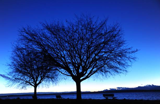 蓝色的水体在夜间,普吉特海湾,西雅图,华盛顿,美国高清壁纸