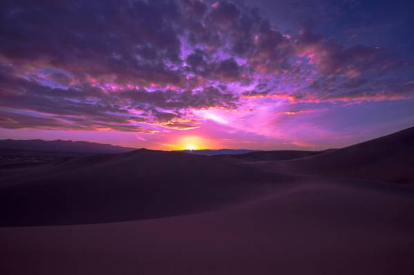 沙丘,黎明,沙漠,金沙