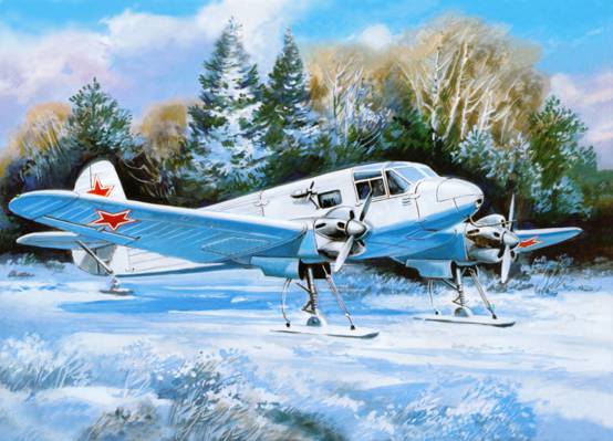 As-6M,雪,艺术,冬天,,运输,领域,滑雪,飞机,机场