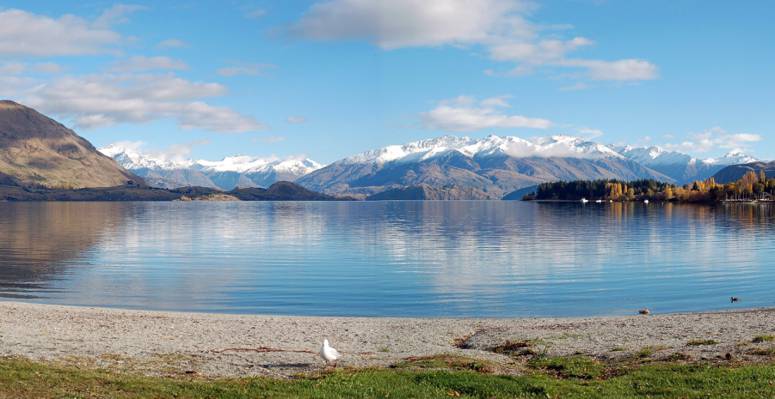 新西兰,湖,瓦纳卡湖,山,岸,全景