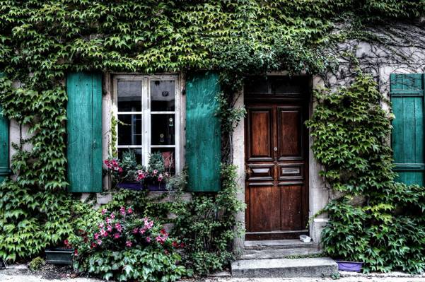 房子与绿色的葡萄藤和花朵高清壁纸