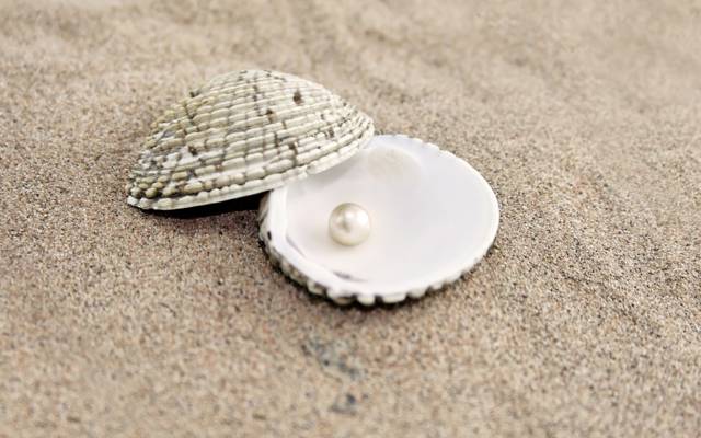 贝壳,沙子,珍珠
