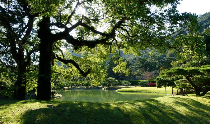 公园,花园,草,树,高松,日本,叶子,太阳,树枝,Ritsurin花园,池塘