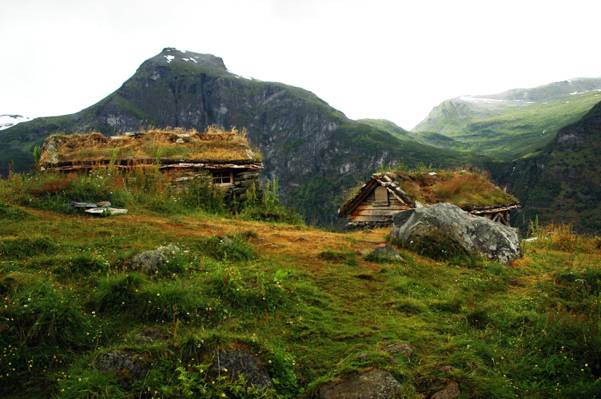 绿草田野摄影在白天,geiranger,挪威高清壁纸