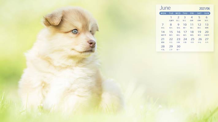 2021年6月可爱狗狗日历