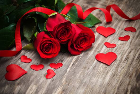 红玫瑰,芽,心,爱,木材,情人节那天,玫瑰,浪漫,玫瑰,红色,鲜花