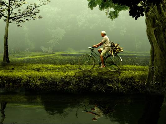 男人穿着白色的衣服骑自行车在森林里的照片高清壁纸