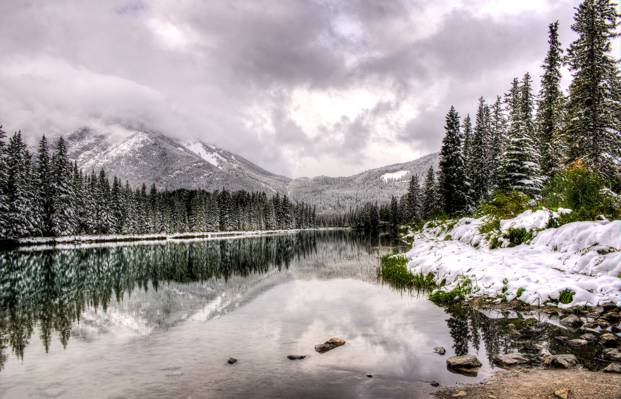 反射,雪,山,自然,冬天,树,艾伯塔省,湖,水,阿尔伯特,加拿大,云,加拿大,景观