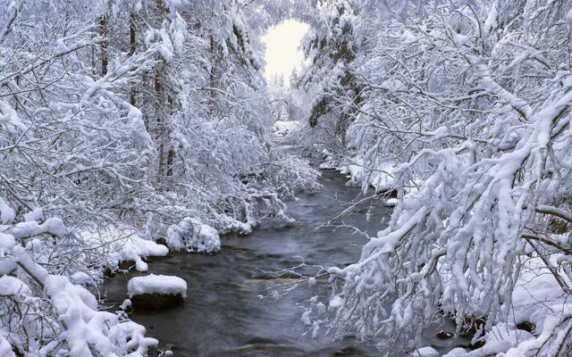 Dalarna,Böle,雪,冬天,树,瑞典,瑞典,河,森林