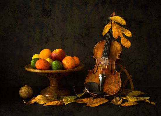 秋天的心情,水果,小提琴,树叶