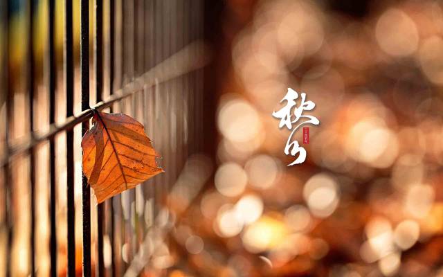 中国传统节气之秋分