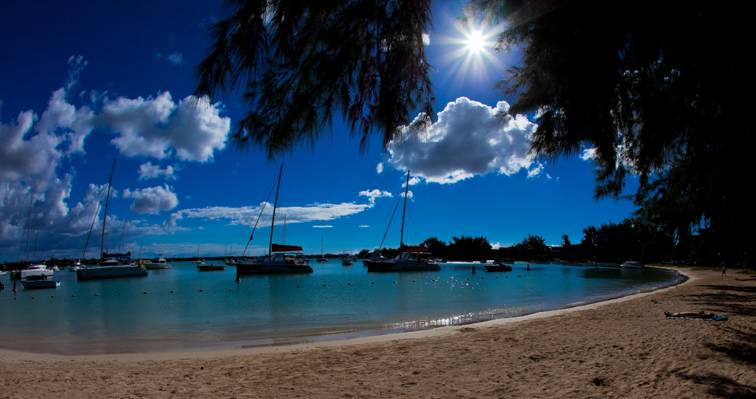 海滩,游艇,小船,小船,拉古纳,海洋,毛里求斯,毛里求斯