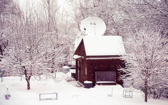房子,房子,雪,冬天,性质,树木,院子里