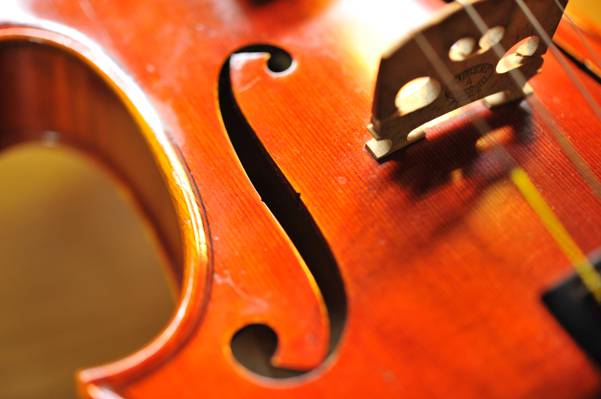 小提琴桥HD wallpaper的marco照片