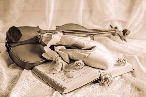 静物,磁带,普安特鞋,笔记,小提琴,玫瑰,复古