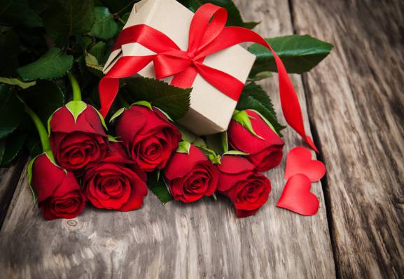 红玫瑰,芽,情人节那天,爱,玫瑰,浪漫,礼物,玫瑰,心,红色,鲜花