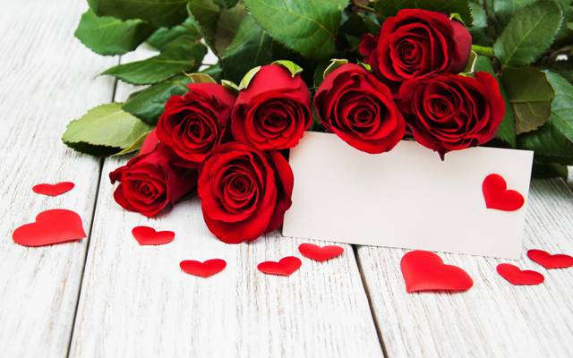 红玫瑰,芽,情人节那天,爱,玫瑰,浪漫,玫瑰,心,红色,鲜花