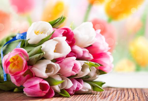 鲜花,郁金香,花束,春天,粉红色,白色