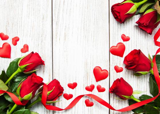 红玫瑰,芽,心脏,爱情,情人节那天,玫瑰,浪漫,玫瑰,红色,鲜花