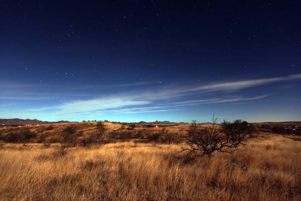 蓝色和白色的天空,索诺兰沙漠高清壁纸下的棕色草地