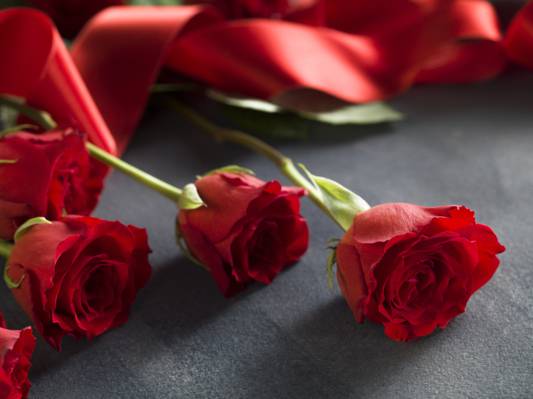 红玫瑰,浪漫,情人节那天,爱,玫瑰,磁带,红色