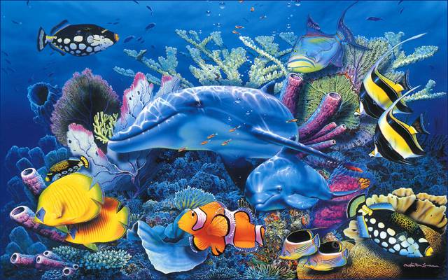 Riese,基督教,海豚,海,鱼,美丽,蓝色,水族馆