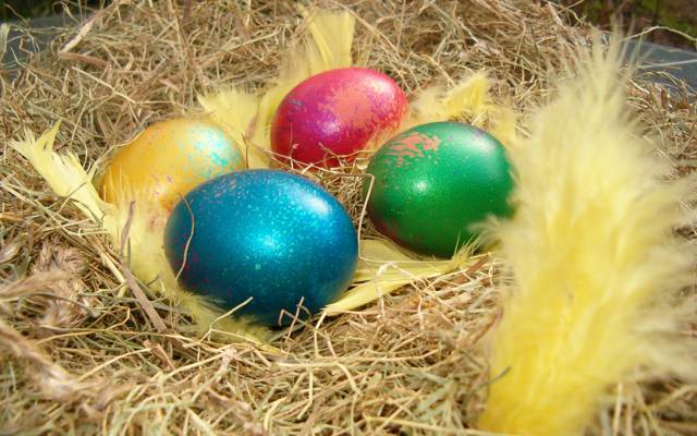 鸡蛋,复活节,假期