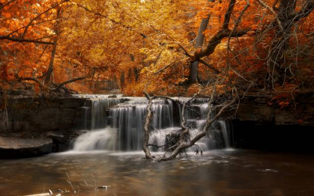瀑布,河,秋天,森林