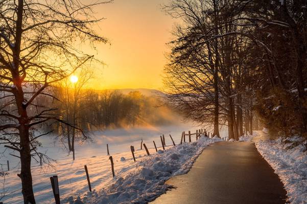 雪,冬天,照片,树木,弗兰克Delargy,轨道,日落