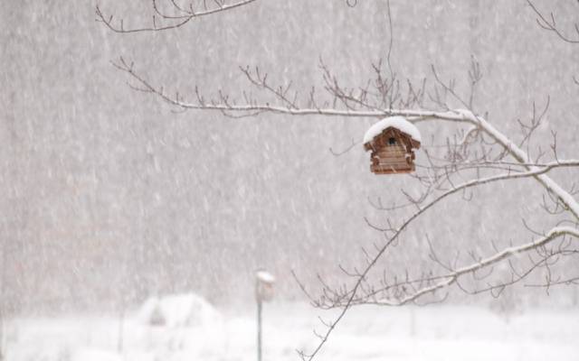 房子,暴雪,冬天