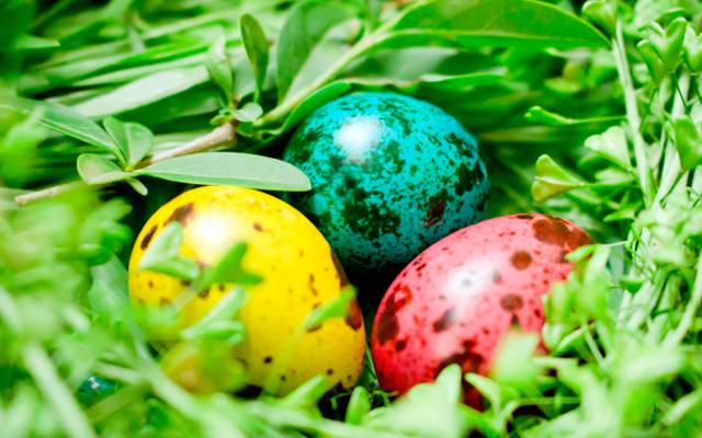 鸡蛋,宏观,复活节,鸡蛋,绿党,插座,彩绘鸡蛋,复活节