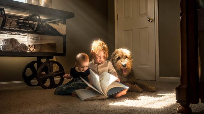 狗,孩子,书
