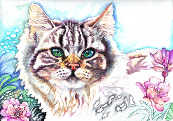 壁纸花,看,动物,绘画,绿色的眼睛,口吻,克里斯蒂娜帕帕焦尼,耳朵,猫
